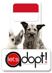 Let's Adopt Indonesia
